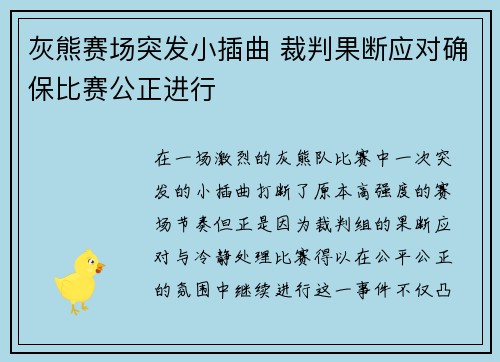 灰熊赛场突发小插曲 裁判果断应对确保比赛公正进行